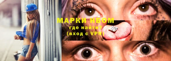сатива Арсеньев