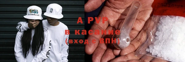 сатива Арсеньев