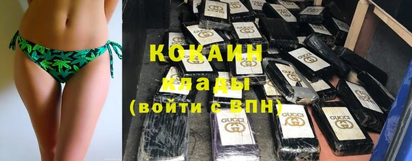 сатива Арсеньев