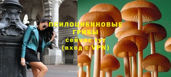 сатива Арсеньев